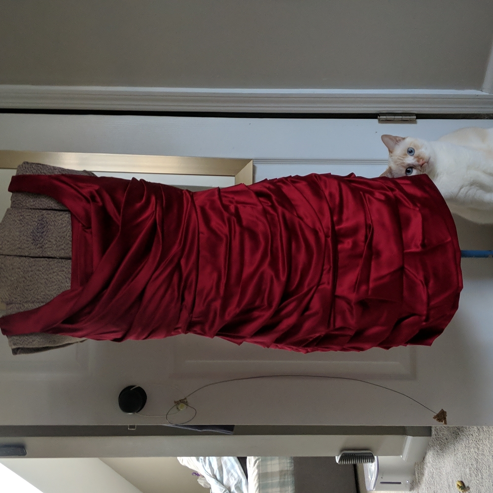 Red Express silk dress